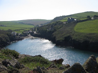 Picture 001