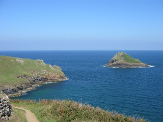Picture 003