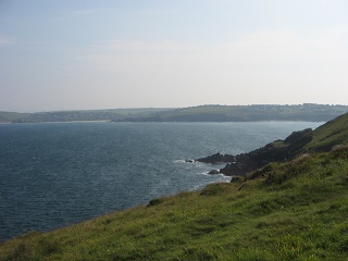 Picture 011