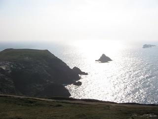 Picture 015
