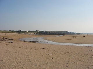 Picture 017