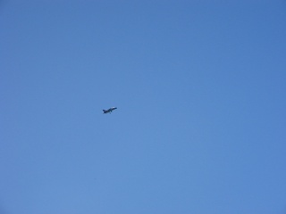 Picture 022