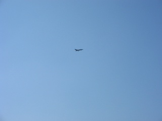Picture 023