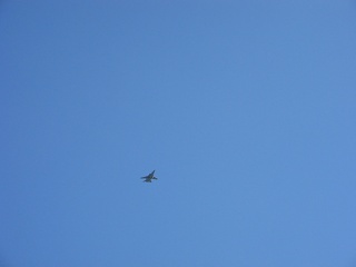 Picture 024