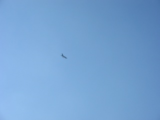 Picture 025