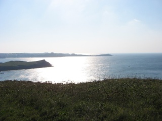 Picture 026