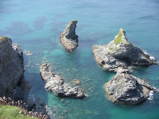 Picture 035