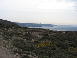 Picture 036