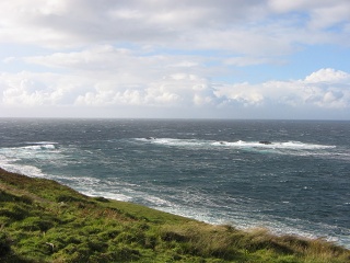 Picture 051