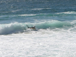 Picture 067