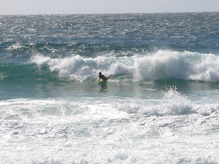 Picture 068