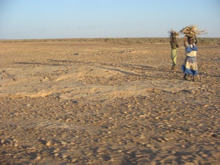 Niger 003