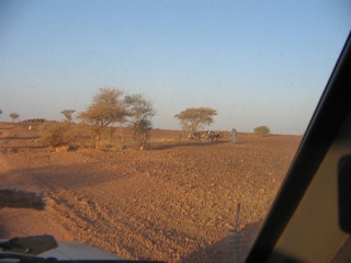 Niger 004