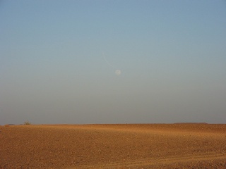 Niger 007