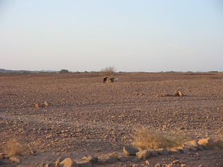 Niger 010