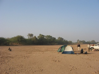 Niger 017
