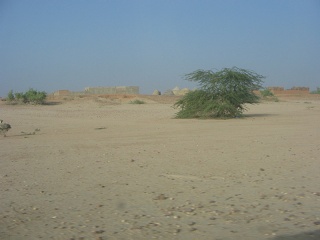 Niger 019