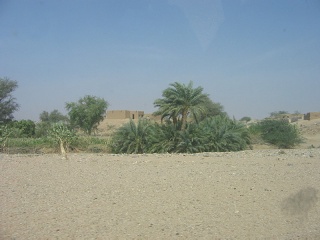 Niger 035