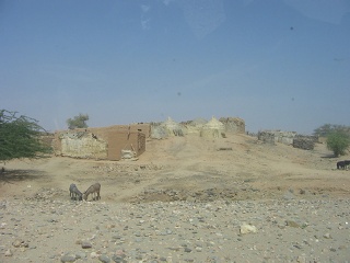 Niger 036