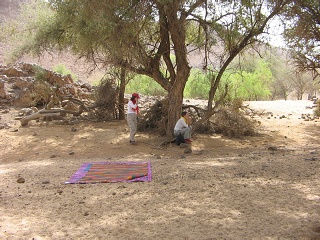 Niger 042