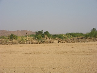 Niger 054