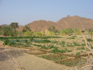 Niger 056