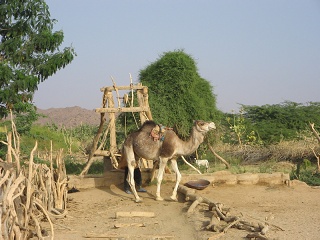 Niger 058