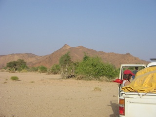 Niger 061