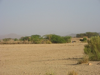 Niger 062