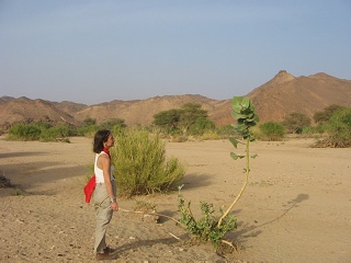 Niger 064