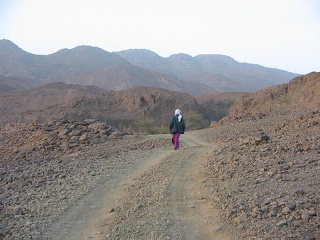 Niger 076
