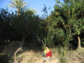 Niger 094