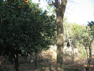 Niger 095