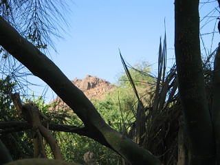 Niger 096
