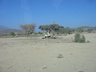 Niger 107