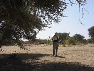Niger 111