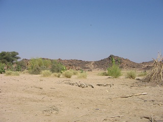 Niger 114