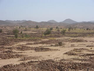 Niger 117