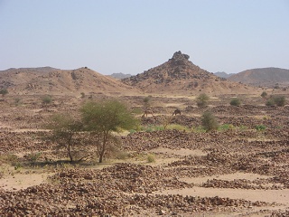 Niger 118