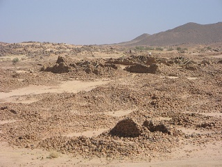 Niger 119