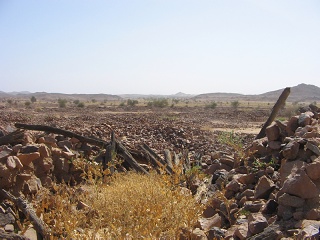 Niger 121