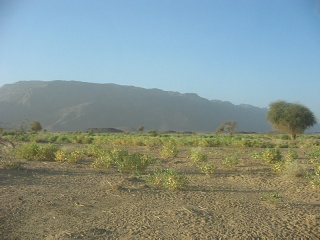 Niger 130