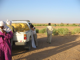 Niger 132