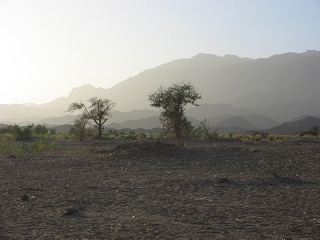 Niger 137
