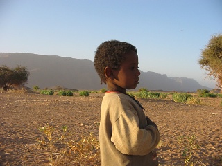 Niger 141
