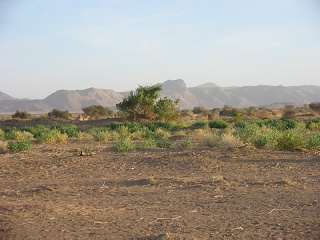 Niger 142