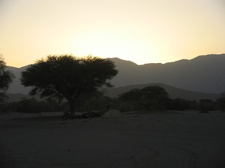 Niger 143