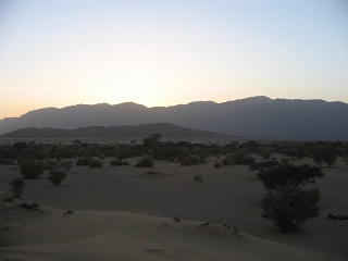 Niger 154
