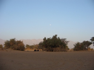 Niger 173