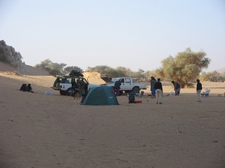 Niger 176